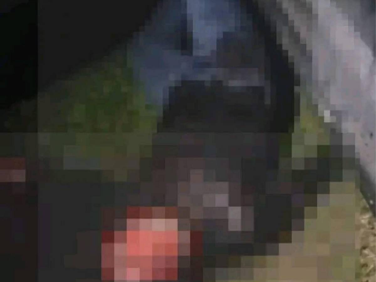 Iba en su carro y lo atacaron: Ernesto Munguía fue asesinado en Cuyamel, Omoa