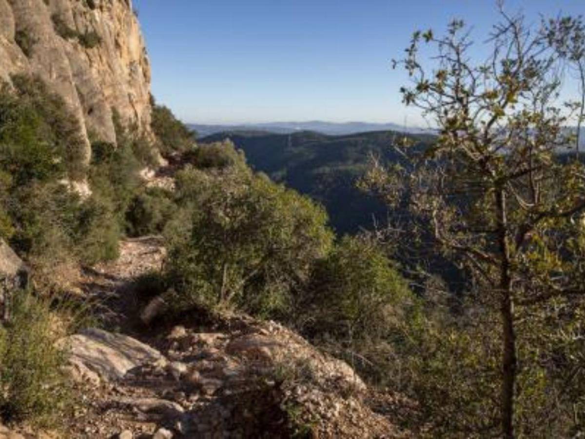 ¿Accidente o crimen? La muerte de Isak Andic, fundador de Mango, tras 10 meses de investigación