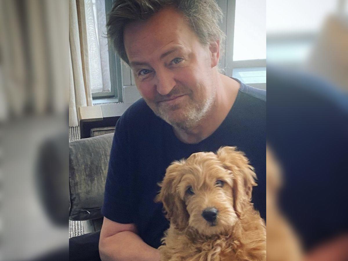 ¿Qué será de Alfred?, el perro inseparable de Matthew Perry