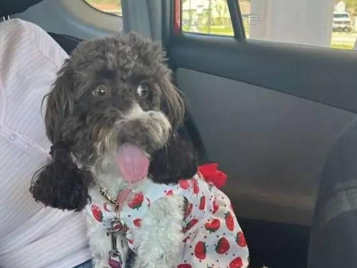 Sindy Barrera, la hondureña deportada tras cita para su residencia en EE UU