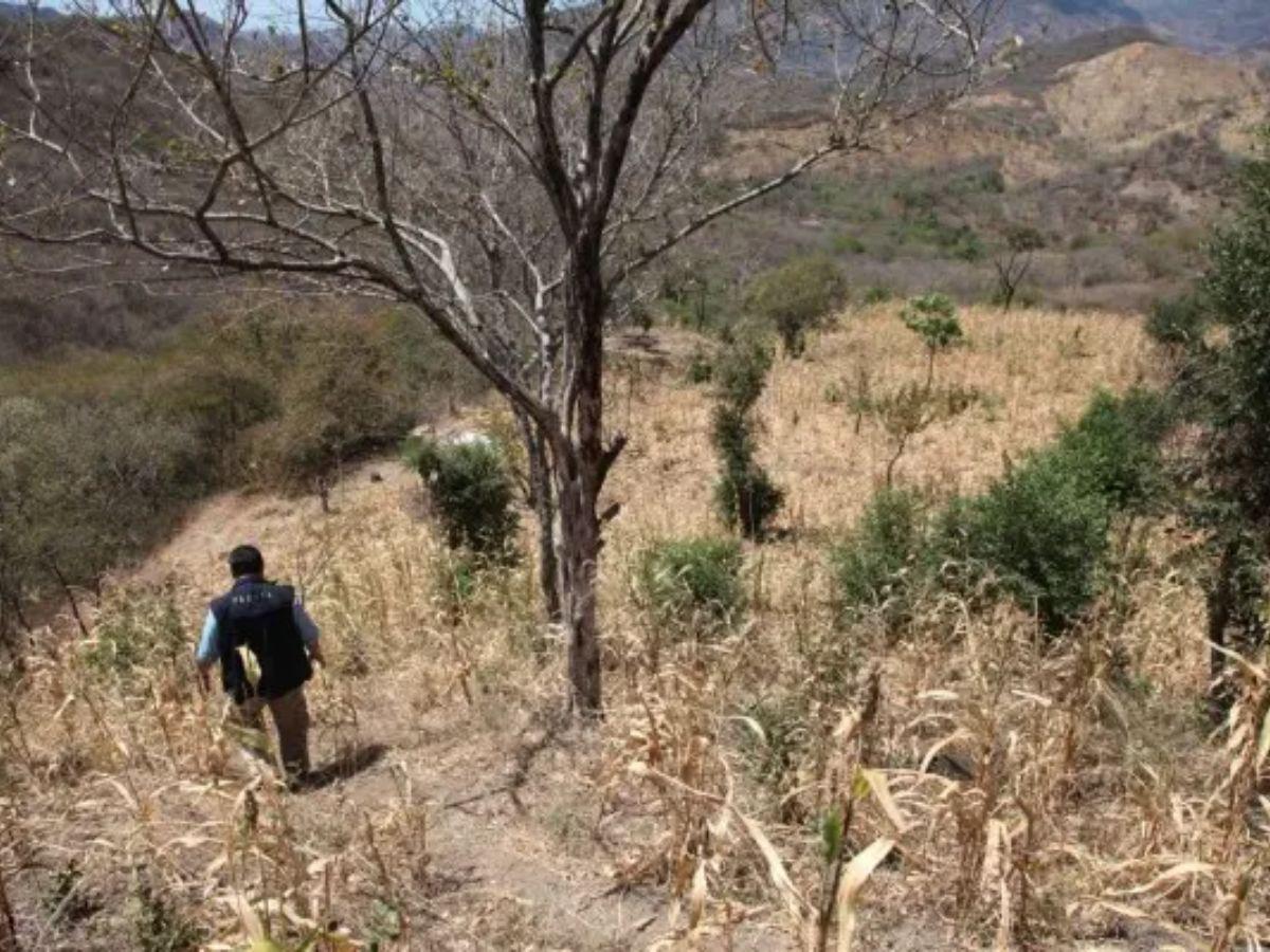 Preocupa escasez de agua: estos son los 60 municipios de Honduras permanecen en alerta por sequía