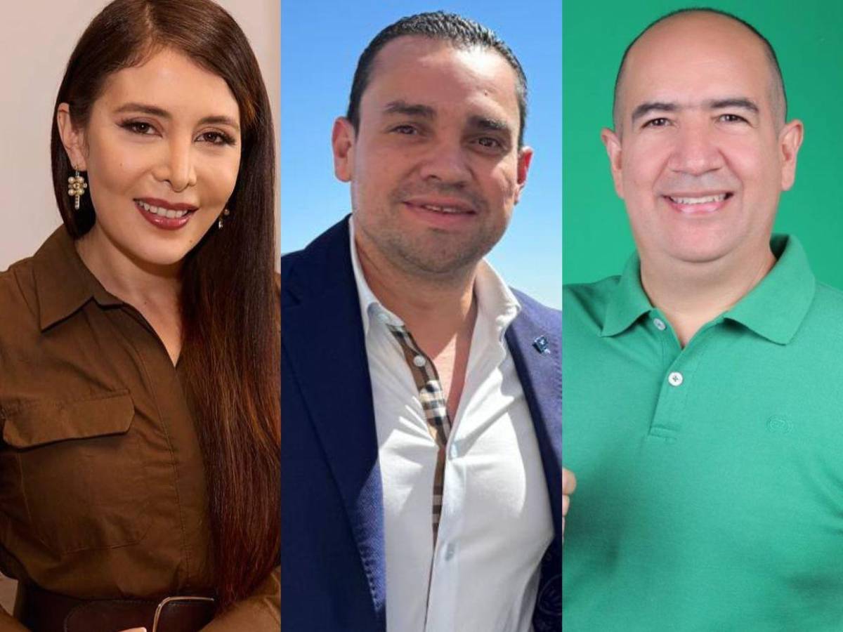 Iroshka, Tomás y hasta Godofredo: candidatos a diputados que estarían quedando en el CN