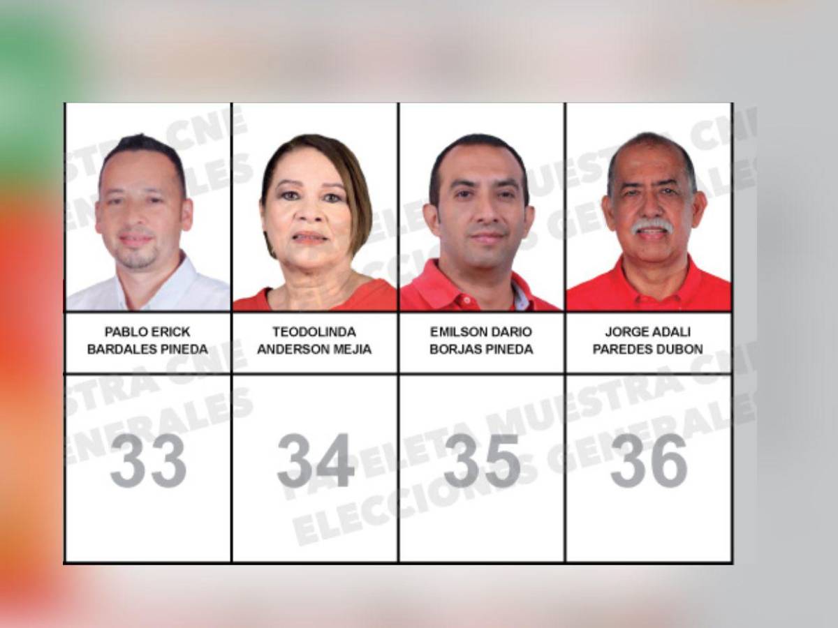 ¿Quiénes son los 45 candidatos a diputados que integran la papeleta por Santa Bárbara?