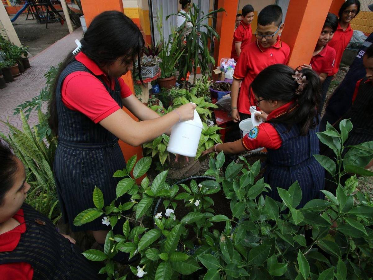 Disfraces, contacto con la tierra y juegos marcan tercera semana de Escuelas Amigables