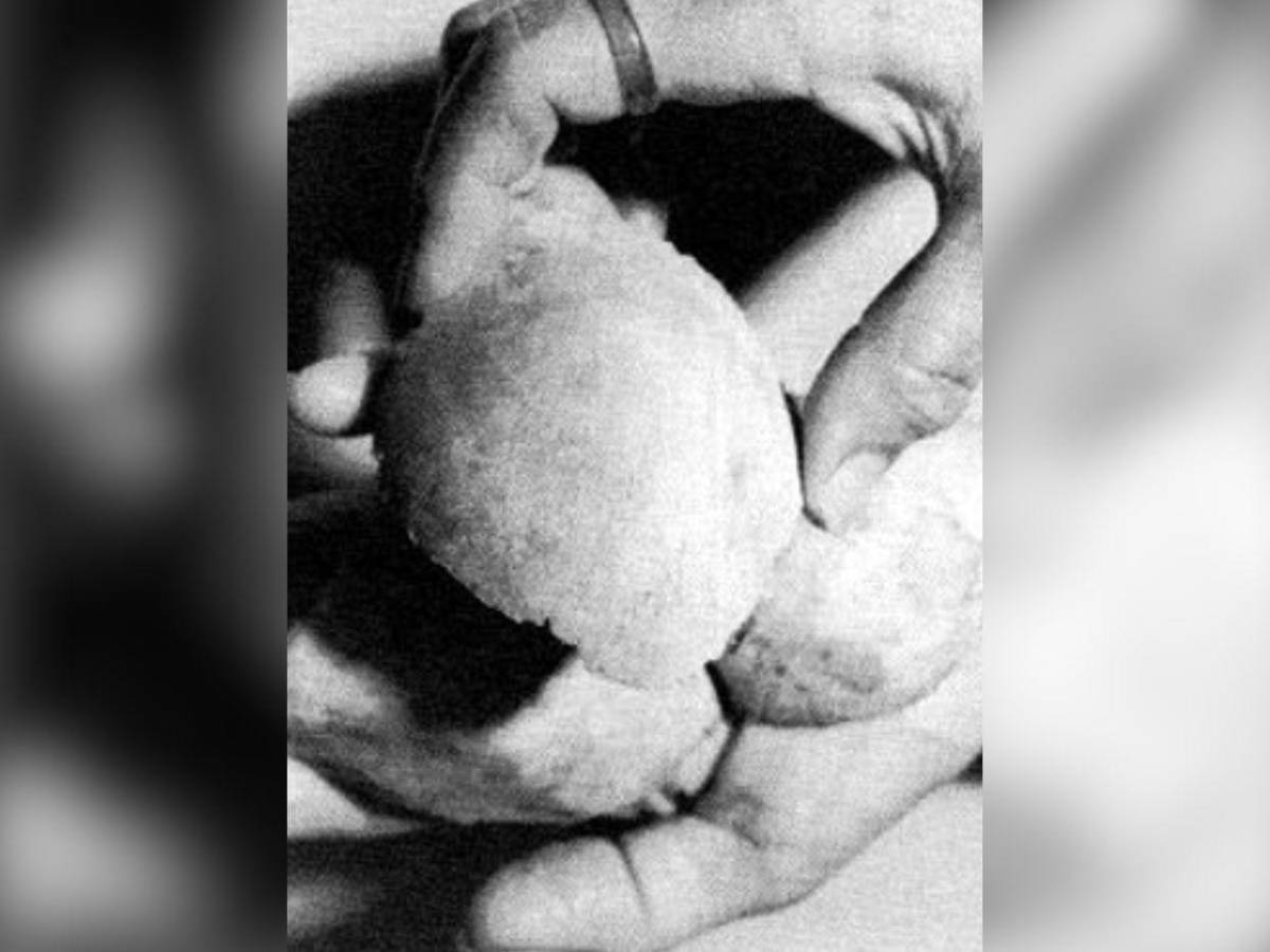 Dagmar Overbye, la asesina de bebés que aterrorizó Dinamarca: los quemaba vivos