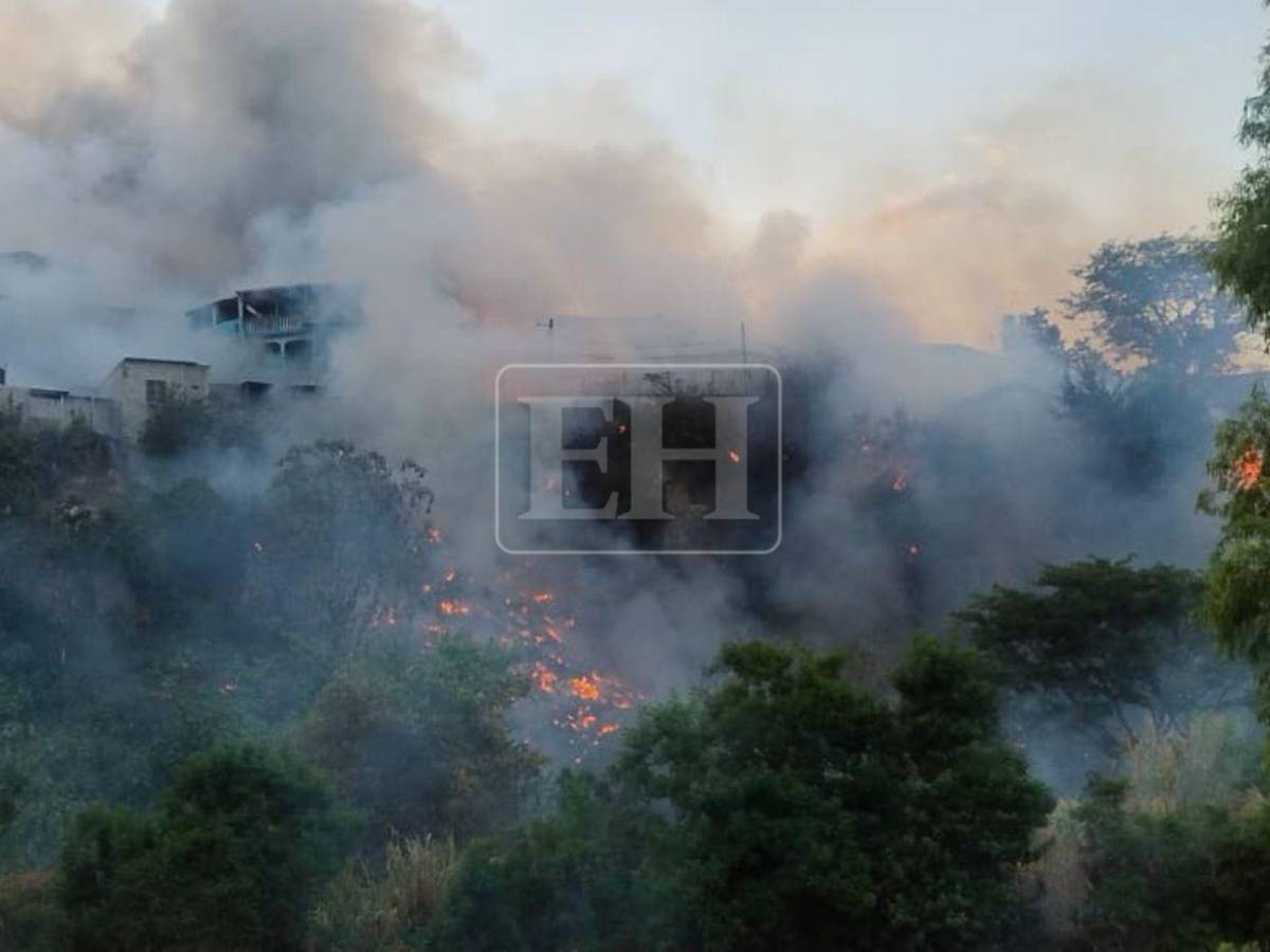 Familias desesperadas: Así fue el pavoroso incendio que afectó varias viviendas en La Rivera de La Vega