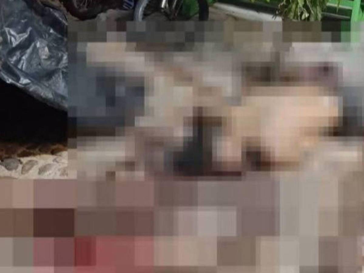 Los rostros de Orlin Argüelles y Jairo Rodríguez, asesinados en San Esteban, Olancho