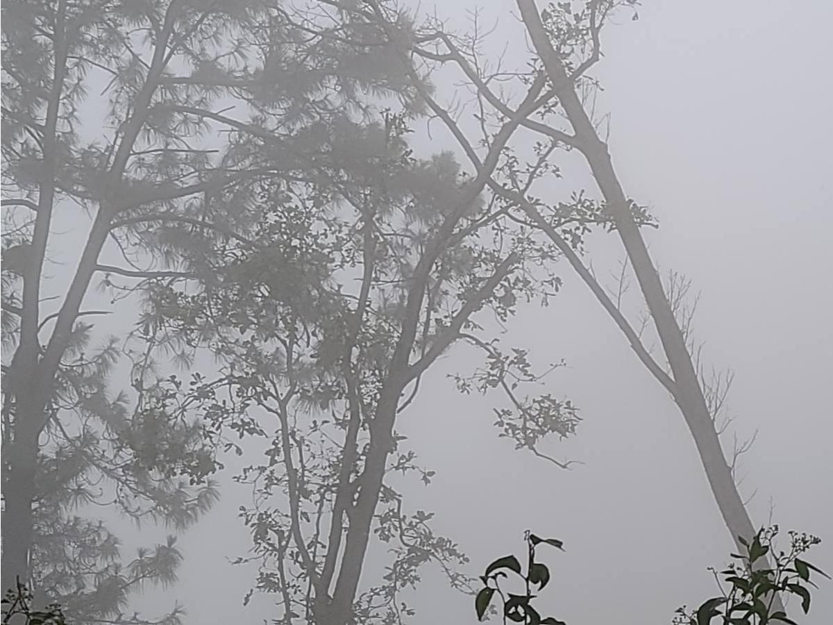 Intibucá llegó hasta 2 grados: así se sintió la madrugada más helada de Honduras