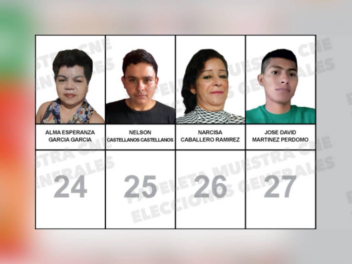 ¿Quiénes son los 45 candidatos a diputados que integran la papeleta por Santa Bárbara?