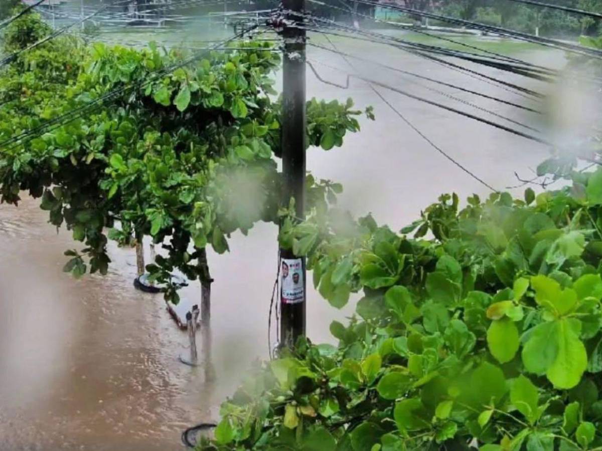 Dramáticas imágenes muestran los daños que dejaron las lluvias en la zona norte de Honduras