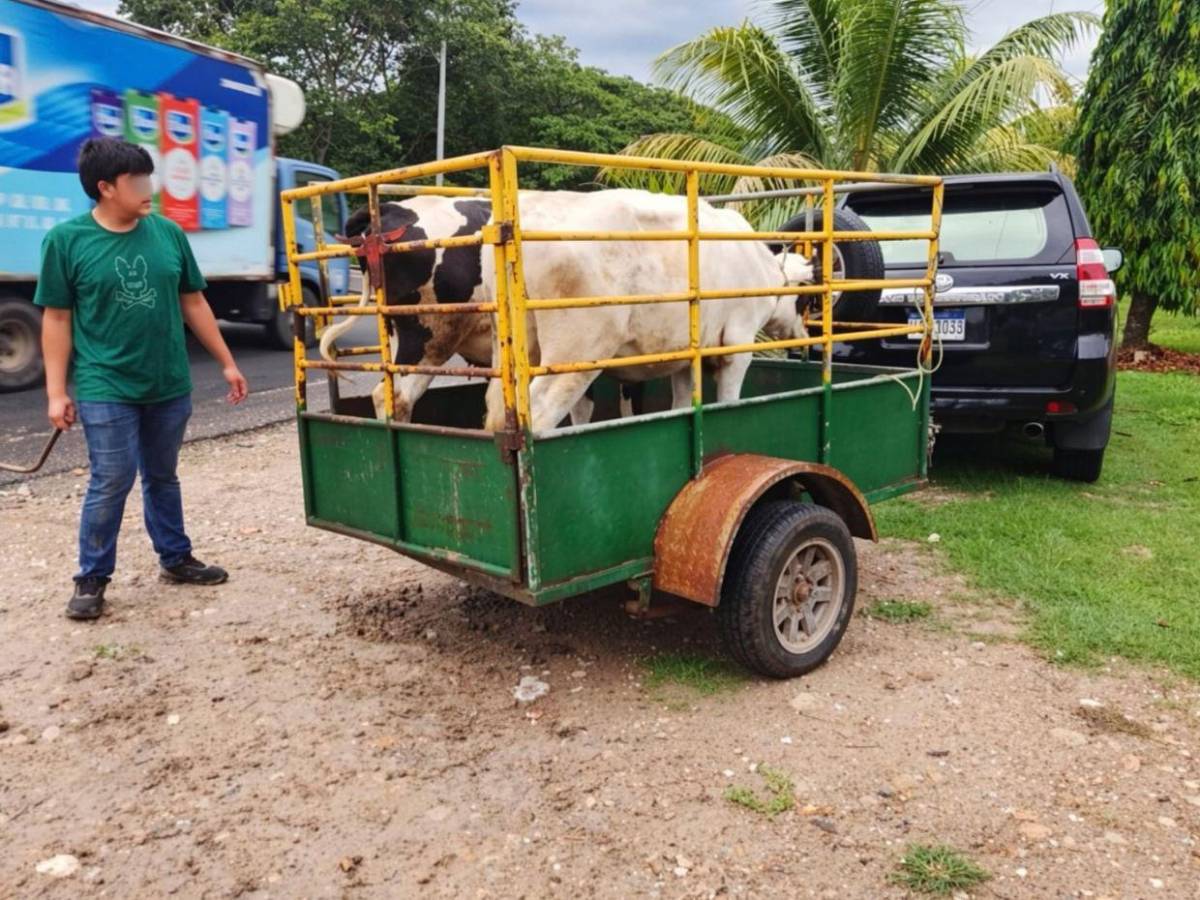 Tenían 26 y 16 años: así eran las víctimas del ataque armado en Lempira