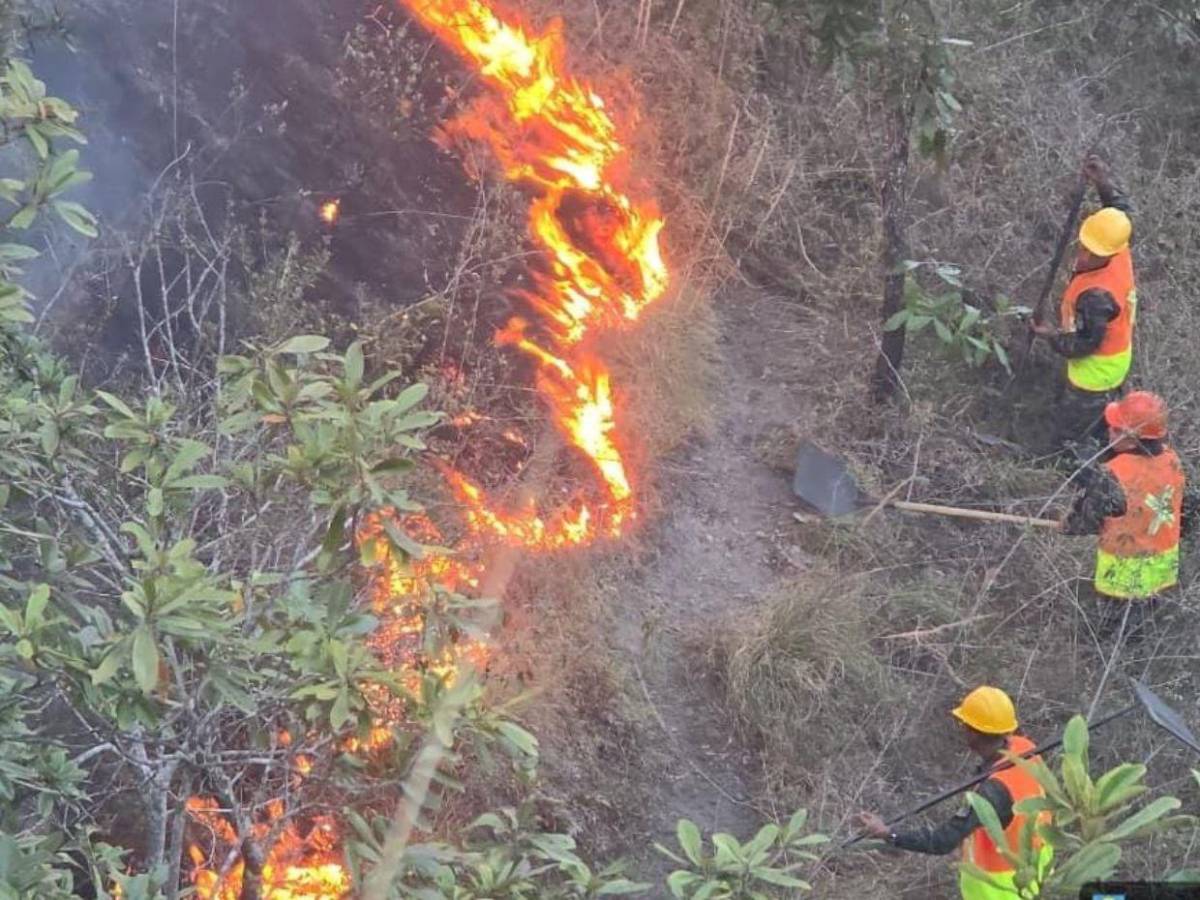 FF AA combaten siete incendios forestales en distintas zonas del país