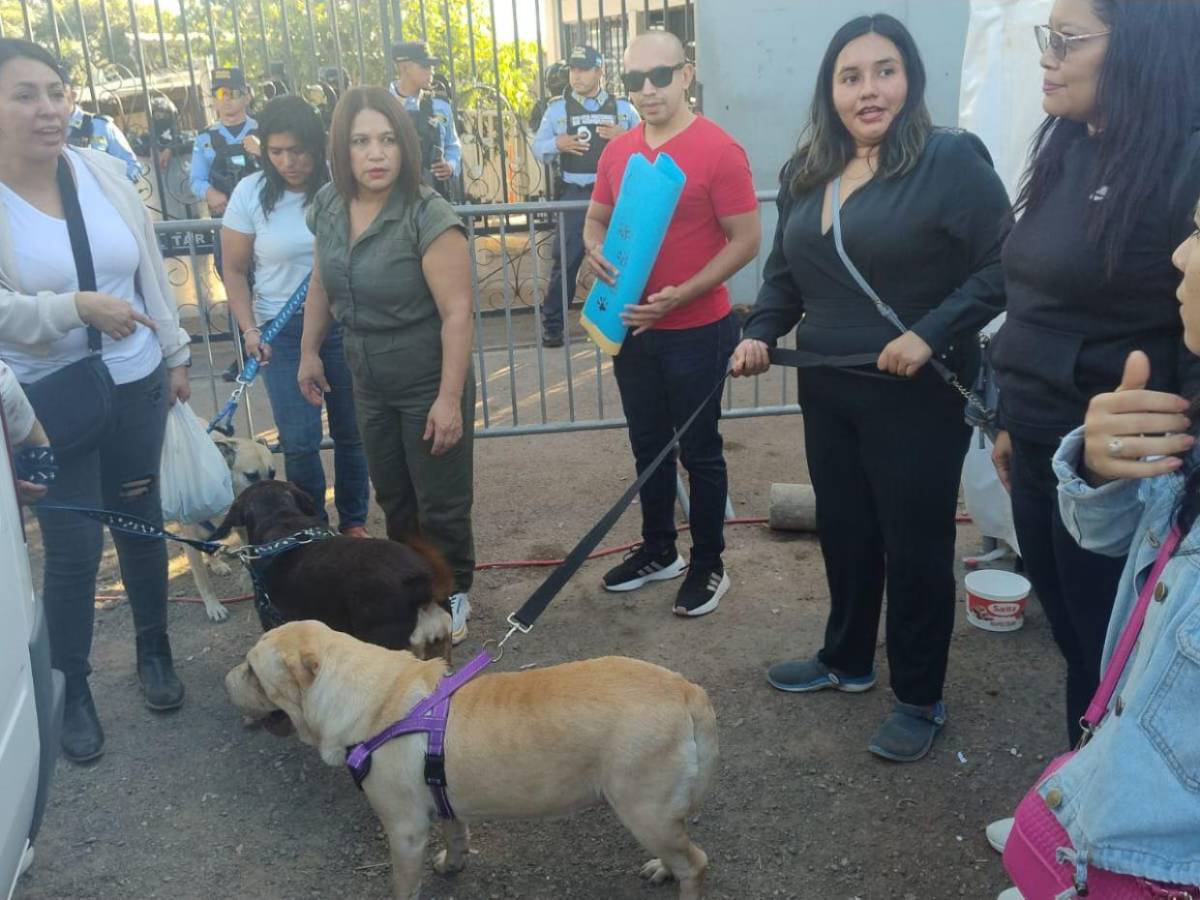 Familias con mascotas y niños respaldan a Jorge Aldana en campamento frente al Infop