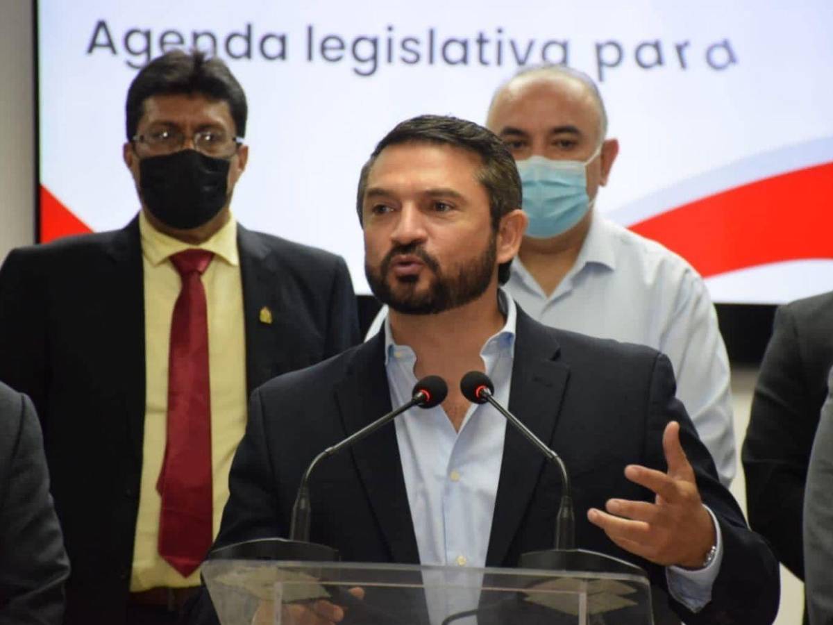 ¿Qué diputados no votaron para aprobar la Ley de Justicia Energética?