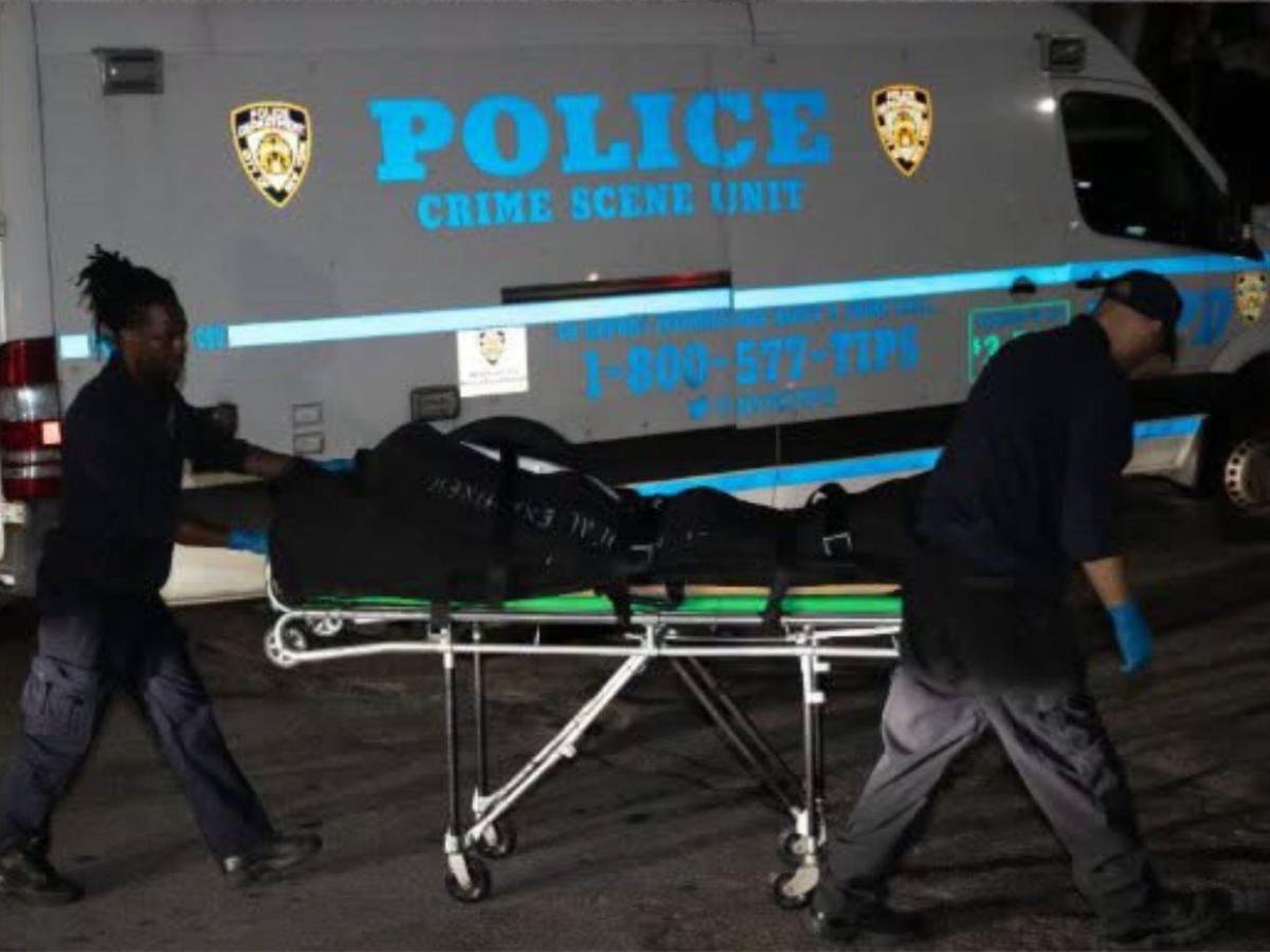Asesinó a su esposa, confesó y horas después apareció muerto en un parque de Nueva York
