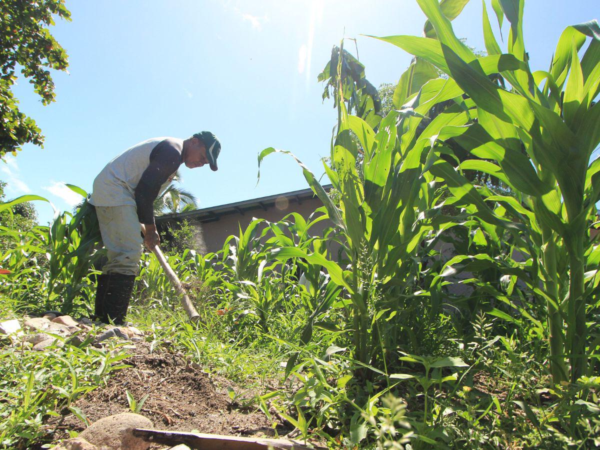 Humuya y Lauterique: dos pueblos de Honduras donde salir a la calle no genera temor