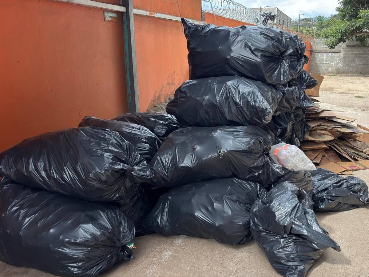 Guardianes del planeta promueven el reciclaje en  escuelas de la capital