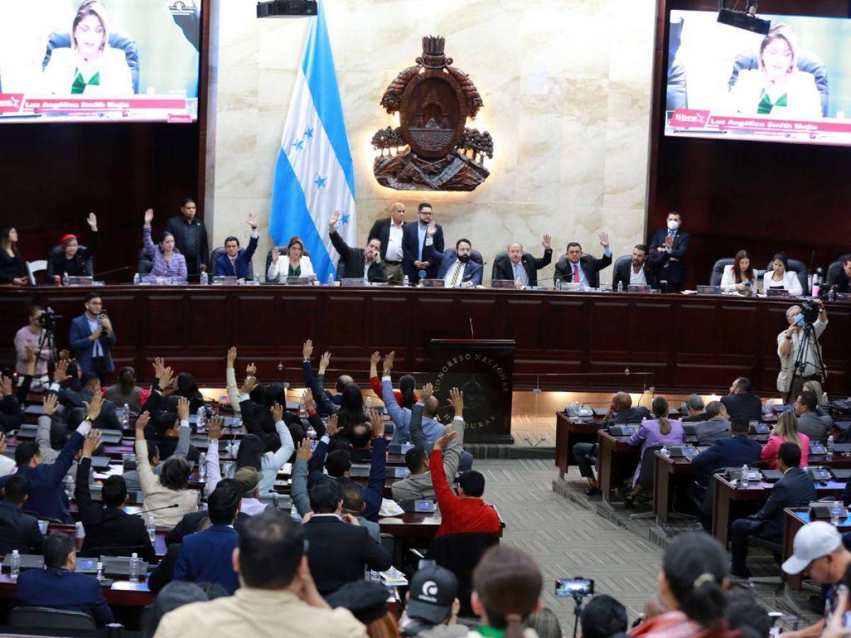 Cesan de sus cargos a diputados del PSH que presidían comisiones en el Congreso Nacional