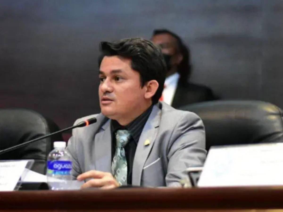 Iroshka, Tomás y hasta Godofredo: candidatos a diputados que estarían quedando en el CN