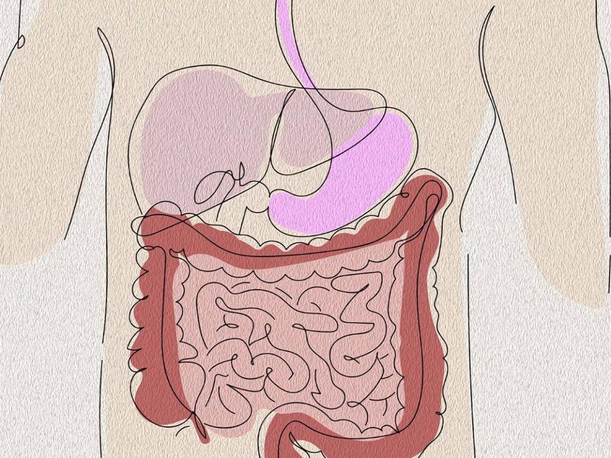 ¿Qué es la ciclosporiasis? Infección detrás del brote de diarrea explosiva en EE UU