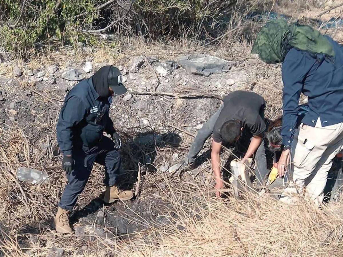 Buscó a su hermano por años, lo halló muerto y luego ella fue desaparecida y asesinada en México