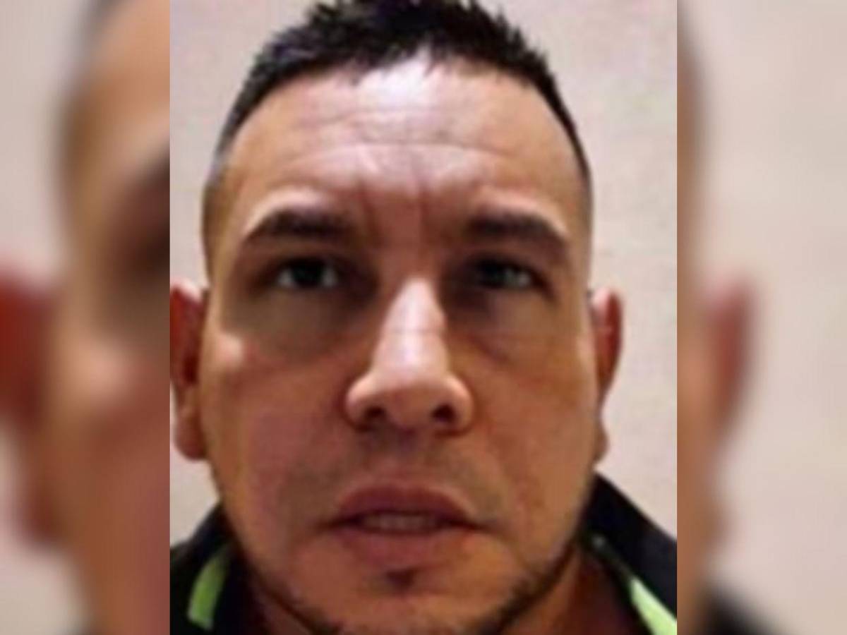 ¿Quiénes podrían tomar el control del CJNG tras la caída de El Mencho?