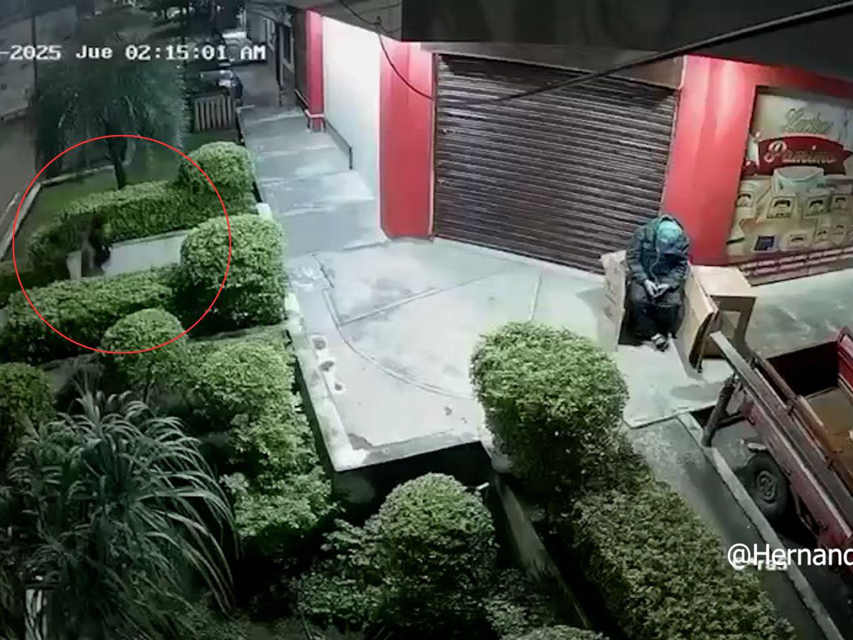 Cuadro a cuadro del ataque de un asaltante a un guardia de la tercera edad en La Ceiba
