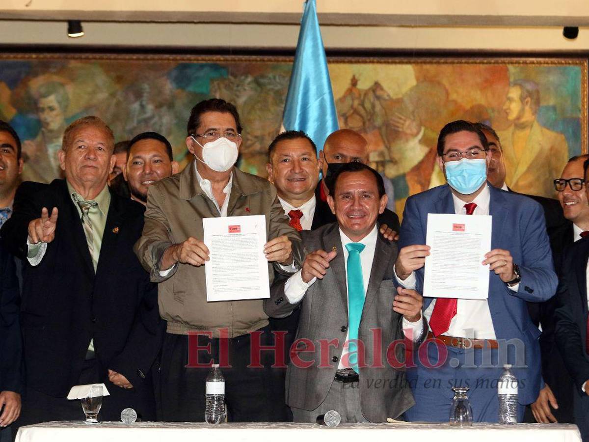 Al menos 20 diputados deciden este día si se separan de la línea de Libertad y Refundación