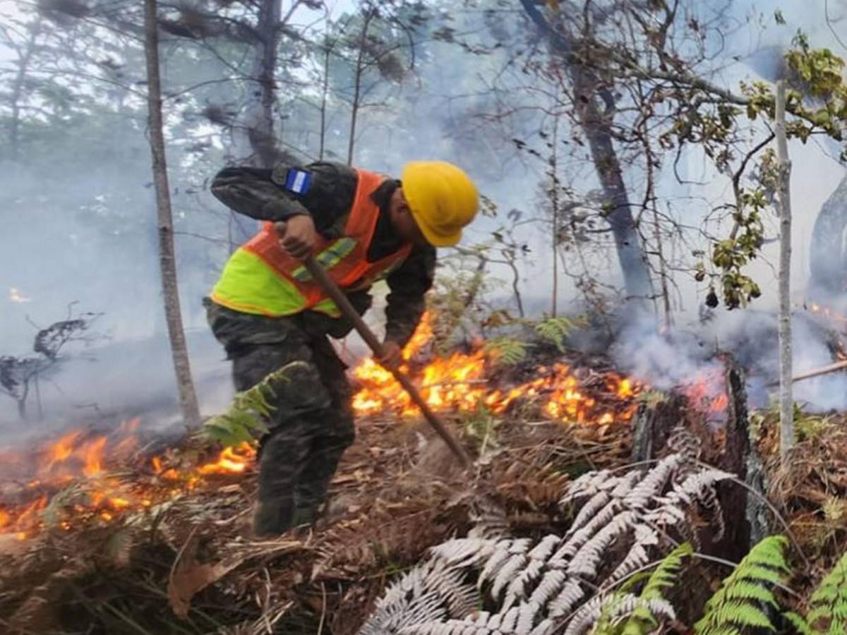 Solo durante el fin de semana se registraron 15 incendios forestales en Honduras