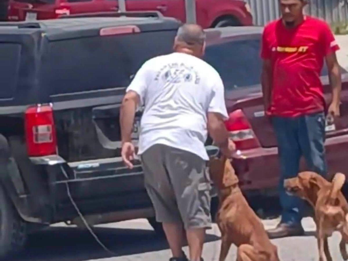 No hallaron lesiones: Hombre que arrastró a perro con su carro en Choloma queda en libertad