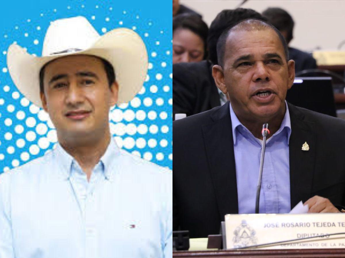 Galería: diputados actuales que no lograron la reelección en Honduras