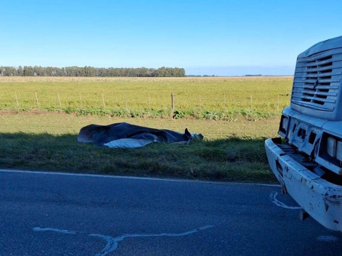 Hombre mata a su esposa e hijos y luego se quita la vida en Argentina
