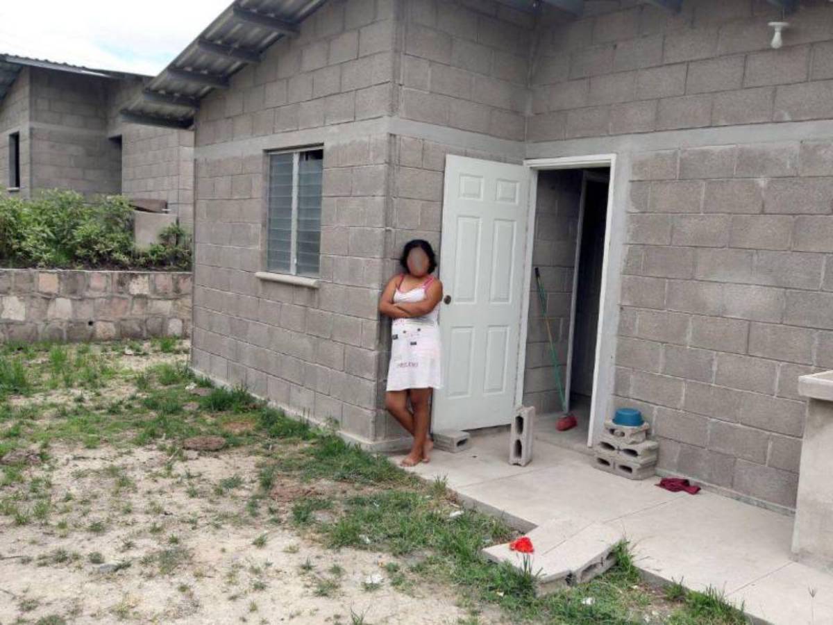 Se robaron los sanitarios y las casas son habitadas por vacas: crisis en Lomas del Diamante