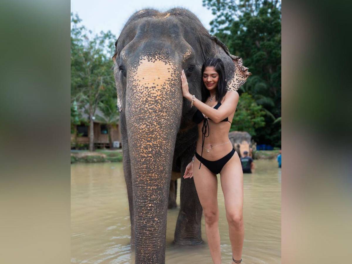 ¿Sheynnis Palacios y Carlos Gómez terminaron su relación?