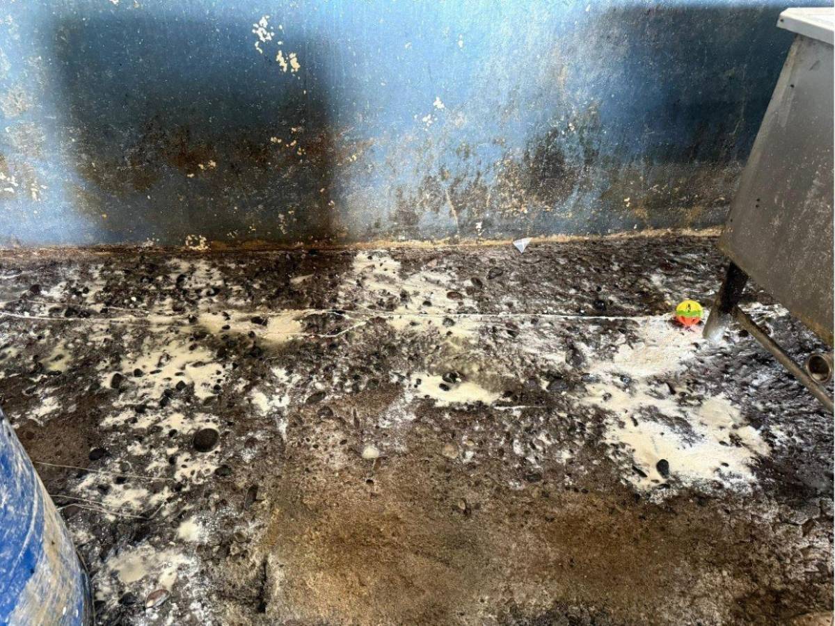 ARSA clausura procesadora de lácteos en Choluteca por falta de higiene