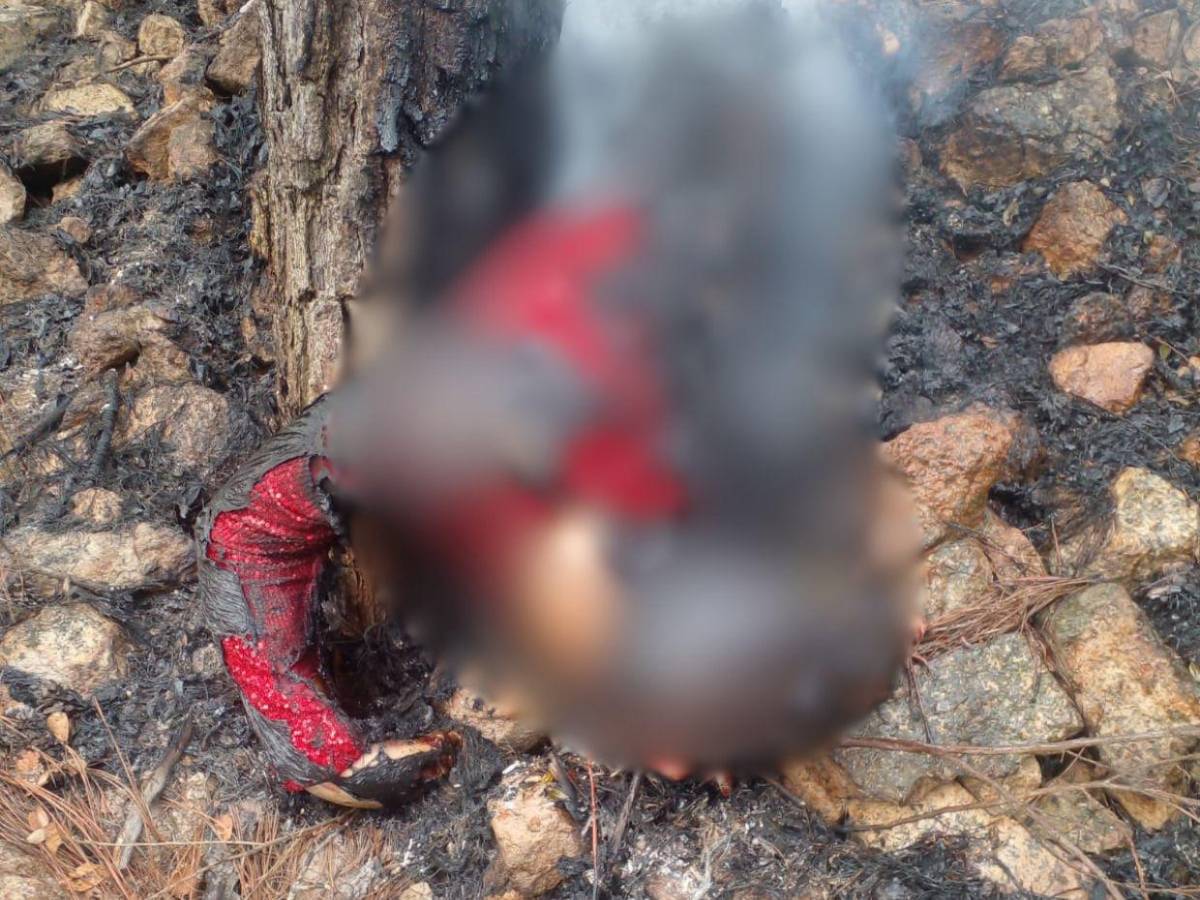 Las dantescas imágenes del crimen que aterra a El Cimarrón: tres cuerpos carbonizados