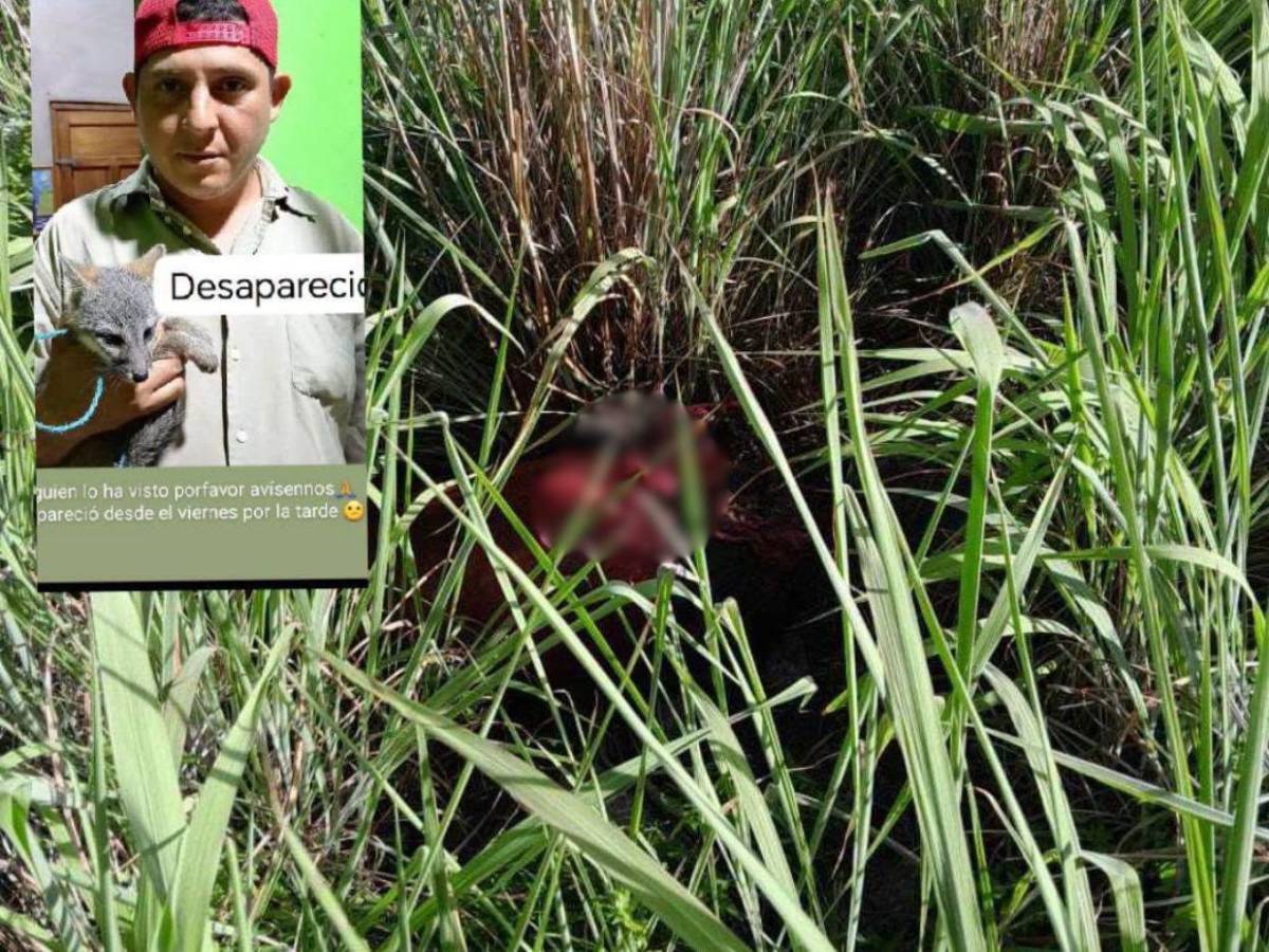 Nunca fuiste mal portado: Así recuerdan a Pancho, hallado encostalado tras varios días desaparecido en Choluteca