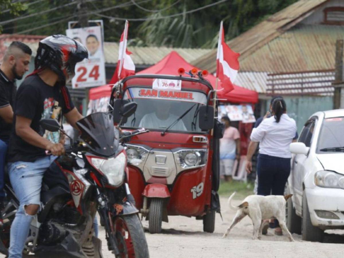 Curiosidades de las elecciones: desinfectante en la boca, tinta indeleble, perritos y cachetadas