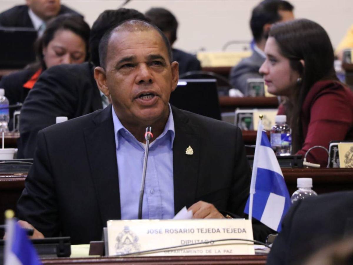 ¿Quiénes son los diputados de la comisión que investigará la renuncia de Ana Paola Hall?