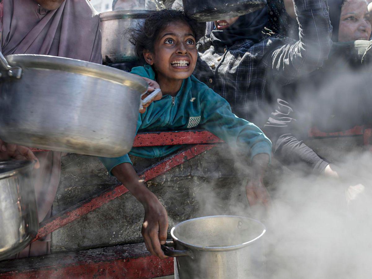 Desesperación y hambre: la lucha de los palestinos por conseguir comida en Gaza