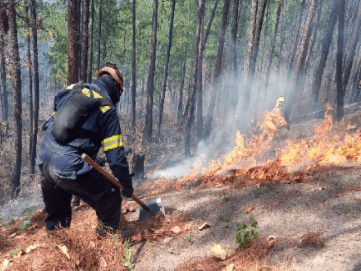 Usarán L 74 millones para combatir incendios forestales en el país este 2024