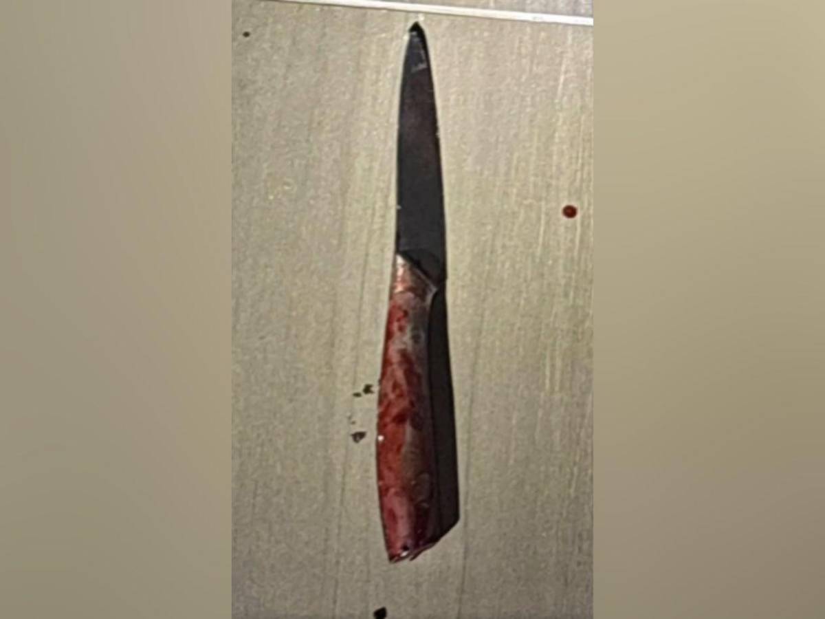 Thaissa, estudiante asesinada tras resistirse a ser abusada mientras repartía volantes