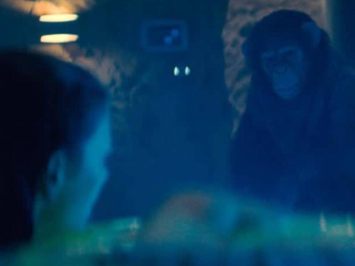 El chimpancé rabioso de Primate aterroriza las salas hondureñas desde mañana