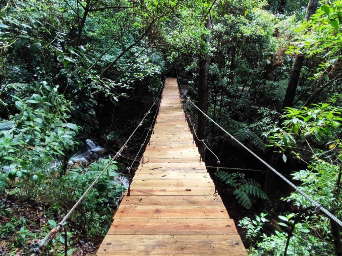 Ruta del oxígeno: parques nacionales de Honduras para visitar esta Semana Santa 2026