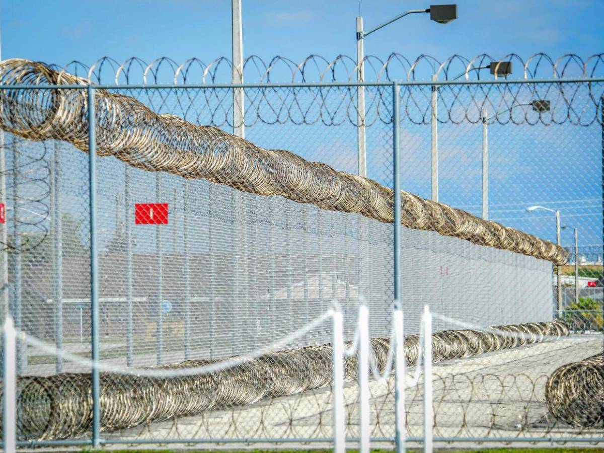 Caso de Alejandro Clemente, migrante que murió bajo custodia del ICE en EE UU