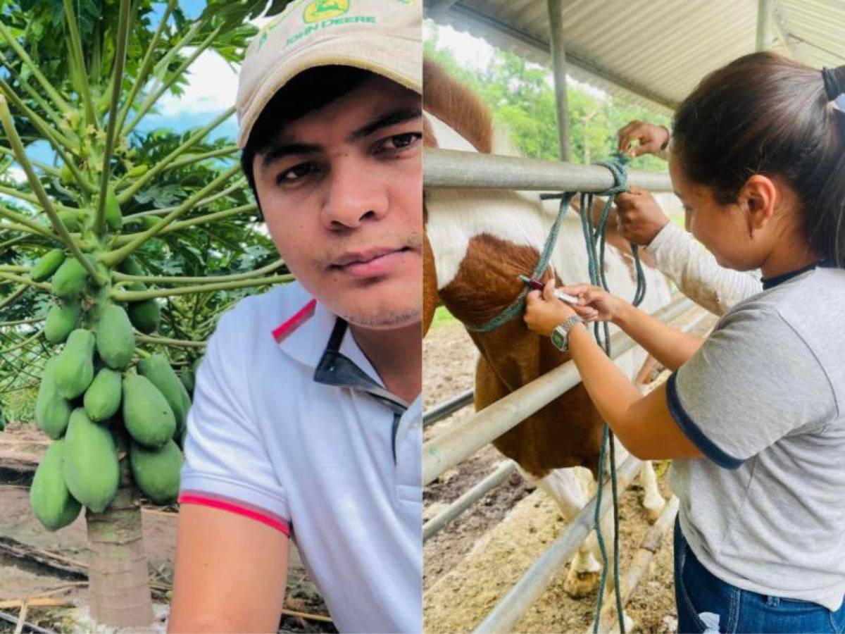 Amenazantes mensajes a familiares de uno de los ingenieros asesinados en Comayagua