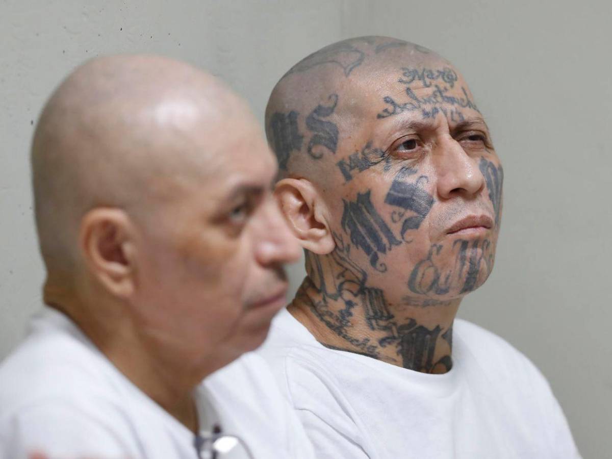 Las imágenes del inédito megajuicio contra más de 400 presuntos pandilleros en El Salvador