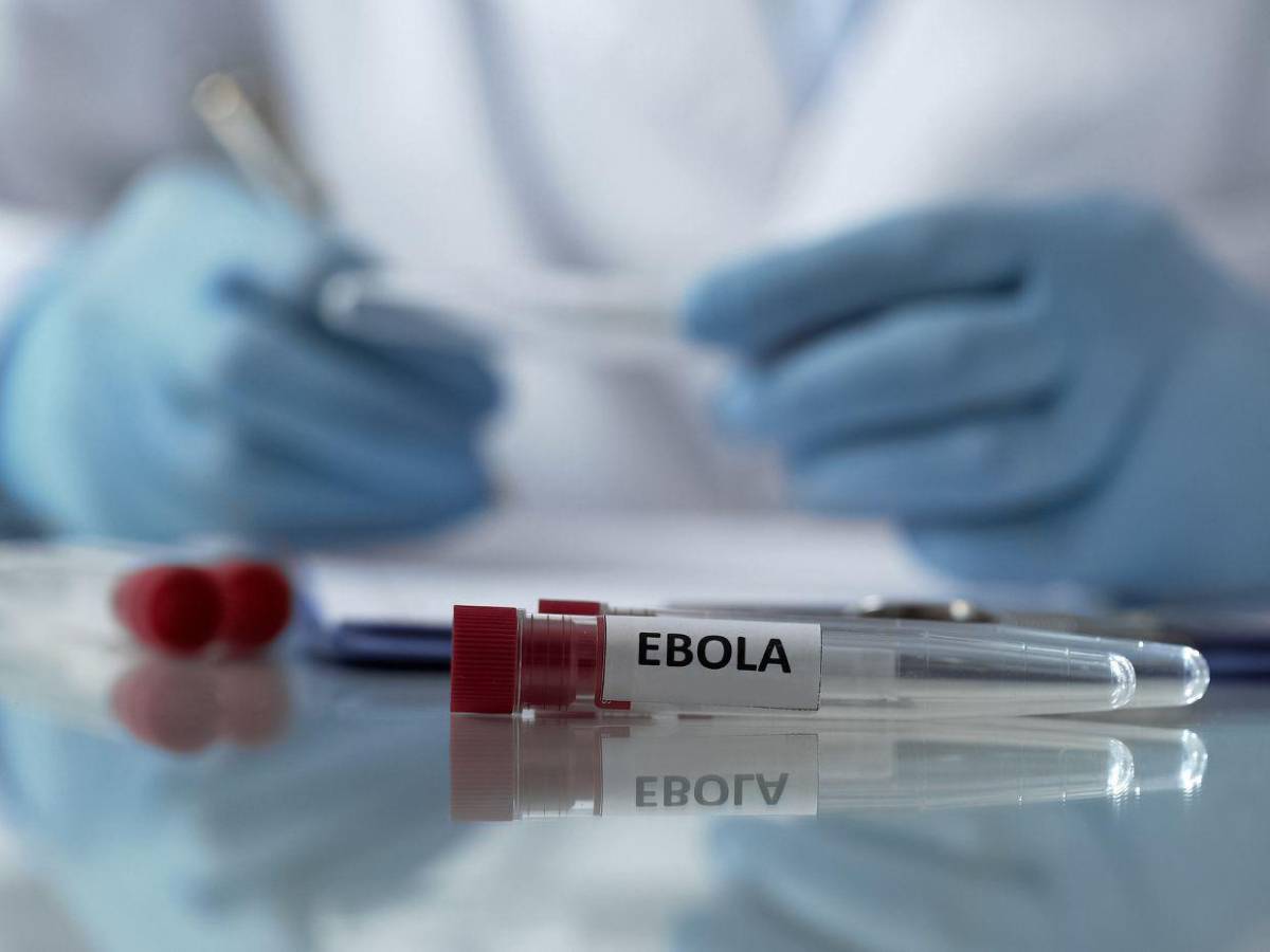 ¿Qué se sabe del brote de ébola que ya suma 80 muertes en RD del Congo?