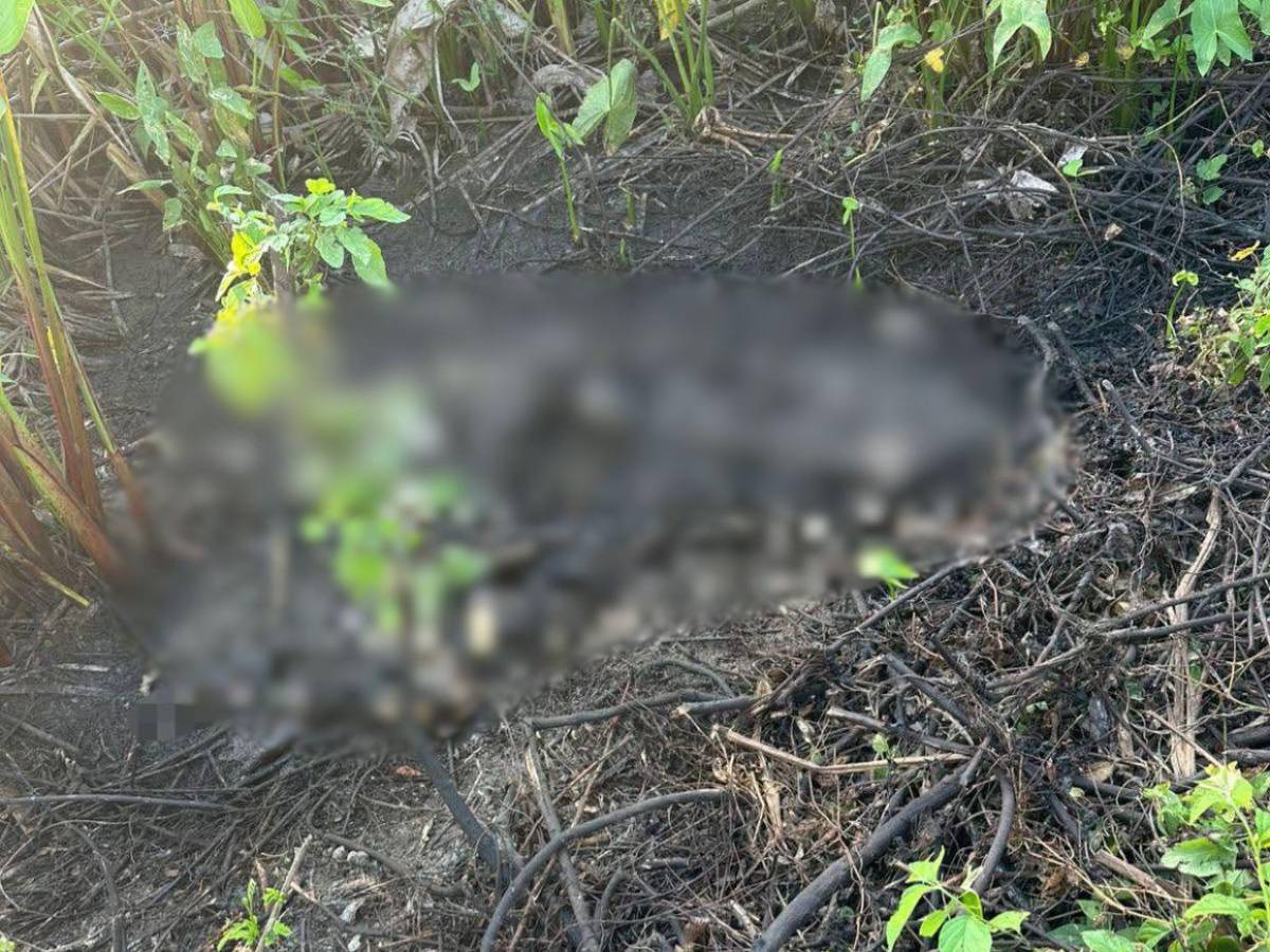 La raptaron y quemaron su cuerpo: caso de Yorleni Alas, asesinada en Puerto Cortés