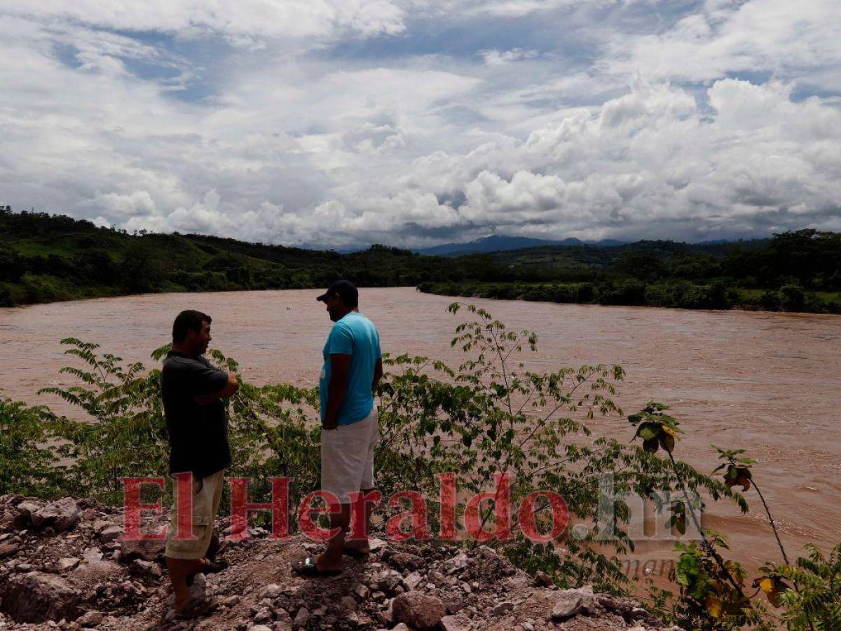 El debordamiento del río Ulúa es la causa de que hayan pérdidas en las zonas bananeras, donde se estiman daños en 430 hectáreas de cultivos.